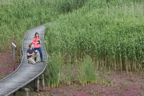 Bool Lagoon Game Reserve And Hacks Lagoon Conservation Park - Accommodation Gladstone 2