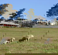 Calmsley Hill City Farm - Accommodation Gladstone