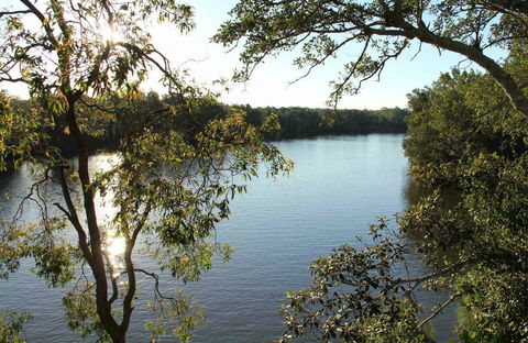 Cattai National Park - Accommodation Gladstone 0