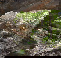 Cave Creek Walking Track - Accommodation Gladstone