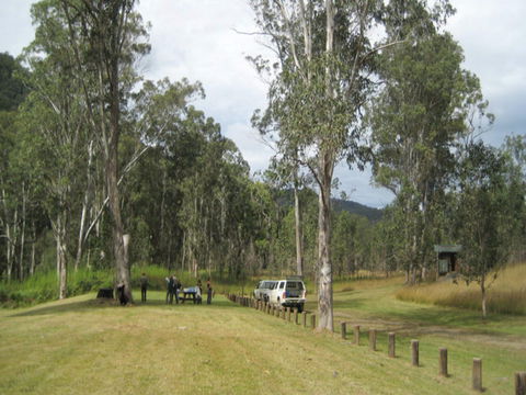 Chaelundi National Park - Accommodation Gladstone 0