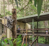 Daisy Hill Koala Centre