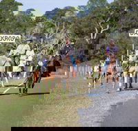 Dayboro - Accommodation Gladstone