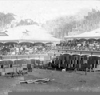 Don Dorrigo and Guy Fawkes Historical Society Museum - Accommodation Gladstone