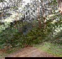 End Peak walking track - Accommodation Gladstone