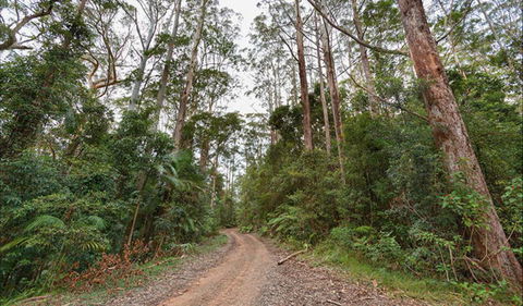 End Peak Walking Track - Accommodation Gladstone 0
