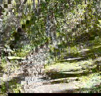 Euglah Rock Walking Track - Accommodation Gladstone