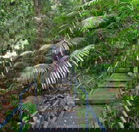 Falls walking track - Accommodation Gladstone