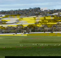 Fini Olives - Accommodation Gladstone