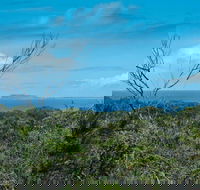 Forest Walking Track Crowdy Bay National Park - Accommodation Gladstone