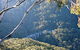 Forest Walk To Sublime Point Track - thumb 0