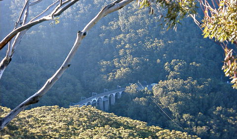 Forest Walk To Sublime Point Track - Accommodation Gladstone 0