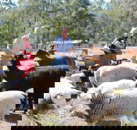 Haigslea EWE Nique Hobby Farm - Accommodation Gladstone