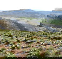 Horseshoe Rim 4WD Adventure Track - Accommodation Gladstone