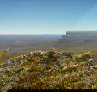 Jerrawangala National Park - Accommodation Gladstone
