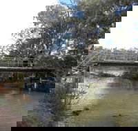 Junction Island Nature Reserve Canoe Tree and Walking Track - Accommodation Gladstone