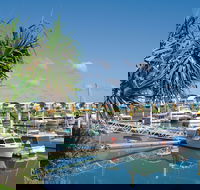 Keppel Bay Fishing Adventure - Accommodation Gladstone