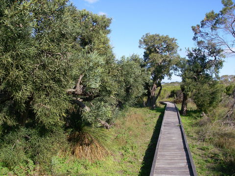 Kepwari Trails Wetland Wonderland - Accommodation Gladstone 0