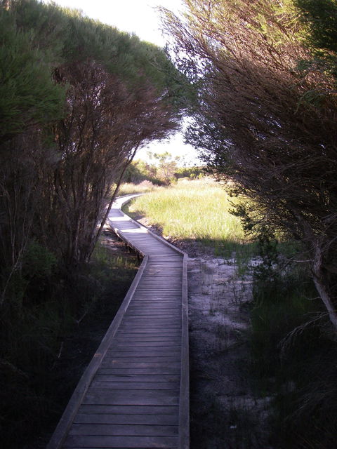 Kepwari Trails Wetland Wonderland - Accommodation Gladstone 1