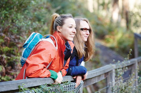 Kinglake National Park - Accommodation Gladstone 2