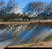 Lake King Wetlands at Rutherglen - Accommodation Gladstone