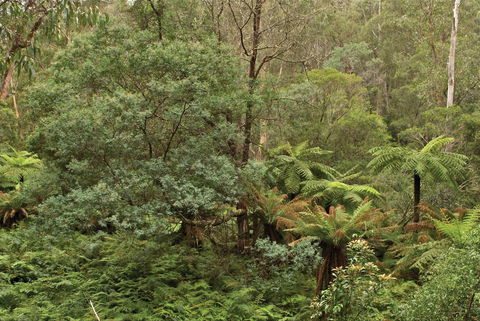Lind National Park - Accommodation Gladstone 0