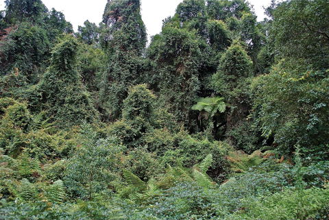 Lind National Park - Accommodation Gladstone 1