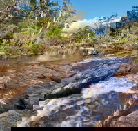 Little Dandahra Creek Walking Track - Accommodation Gladstone