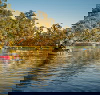 Macquarie Marshes Nature Reserve - Accommodation Gladstone