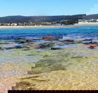 Merimbula Bar Beach - Accommodation Gladstone