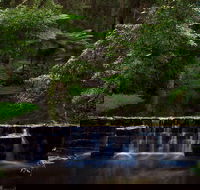 Millards Creek Walk and Cycleway - Accommodation Gladstone