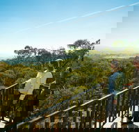 Monument Hill Reserve - Accommodation Gladstone