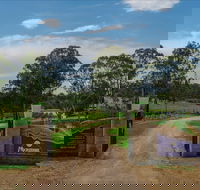 Moorebank Vineyard - Accommodation Gladstone