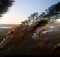 Mount Arthur Reserve - Accommodation Gladstone