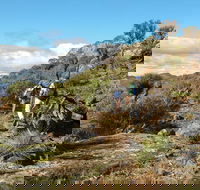Mount Exmouth walking track - Accommodation Gladstone