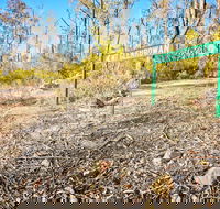 Mt Glenrowan Lookout Walk - Accommodation Gladstone
