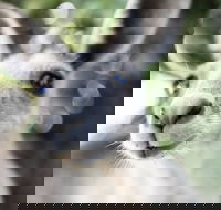 Mungallala - Accommodation Gladstone