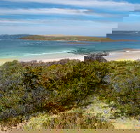 Murramarang Aboriginal Area - Accommodation Gladstone