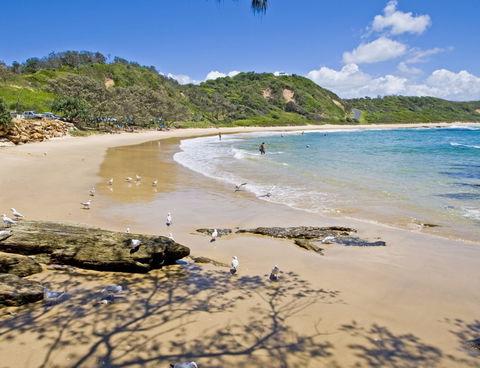Nambucca Heads Beaches - Accommodation Gladstone 0