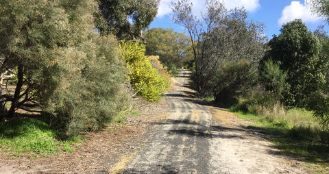 Naracoorte North Nature Park - Accommodation Gladstone 0