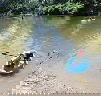 Neurum Creek Campgrounds - Accommodation Gladstone