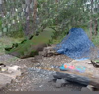 Northbrook Mountain Bush Camp - Accommodation Gladstone