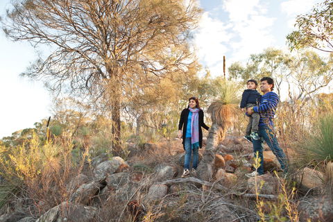 Para Wirra Conservation Park - Accommodation Gladstone 0