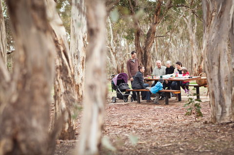 Para Wirra Conservation Park - Accommodation Gladstone 1