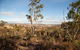 Para Wirra Conservation Park - thumb 2