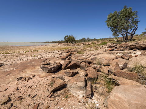 Peery Lake Picnic Area - Accommodation Gladstone 0