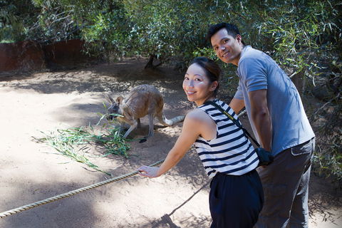 Perth Zoo - Accommodation Gladstone 2