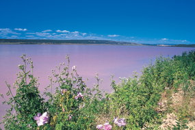 Book Gregory WA Attractions Accommodation Gladstone Accommodation Gladstone