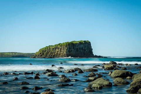 Rangoon Island, Minnamurra - Accommodation Gladstone 0