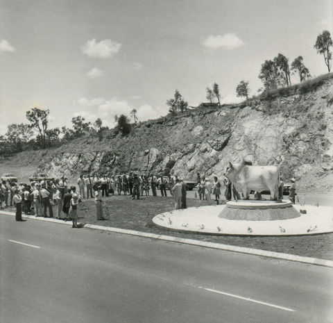 Rockhampton Bull Statues - Accommodation Gladstone 0